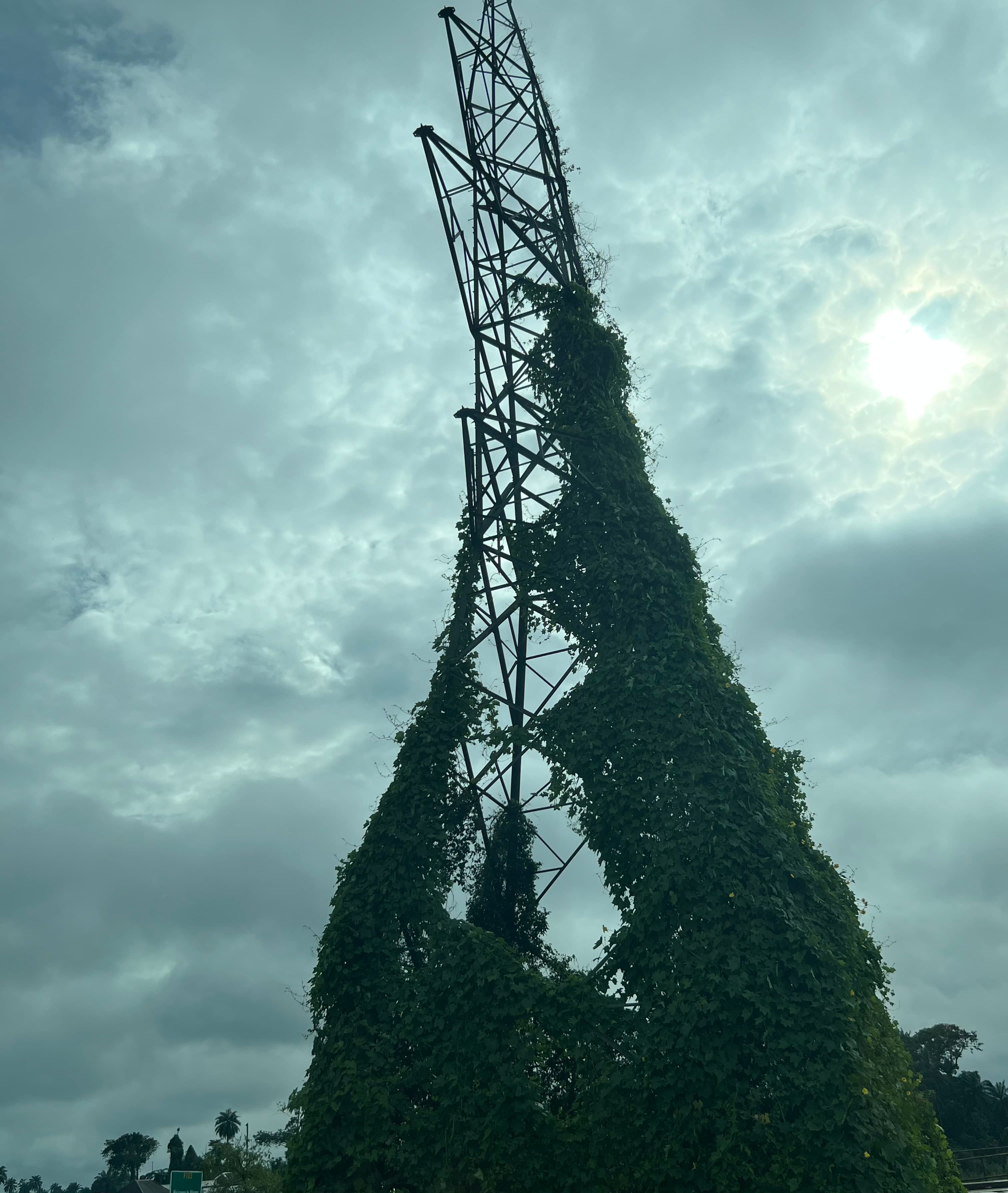 Building a Resilient Future