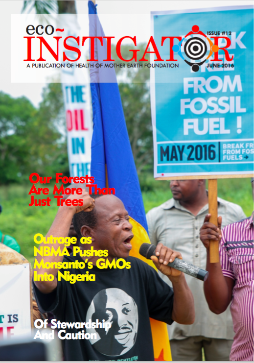 Eco-Instigator #12