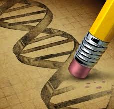 gene drives