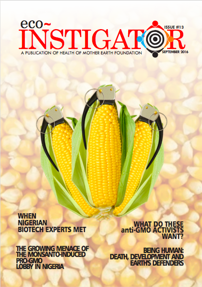 e-i13-cover