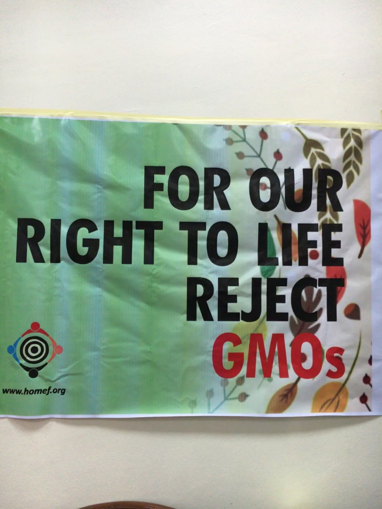 An Eye on Biosafety