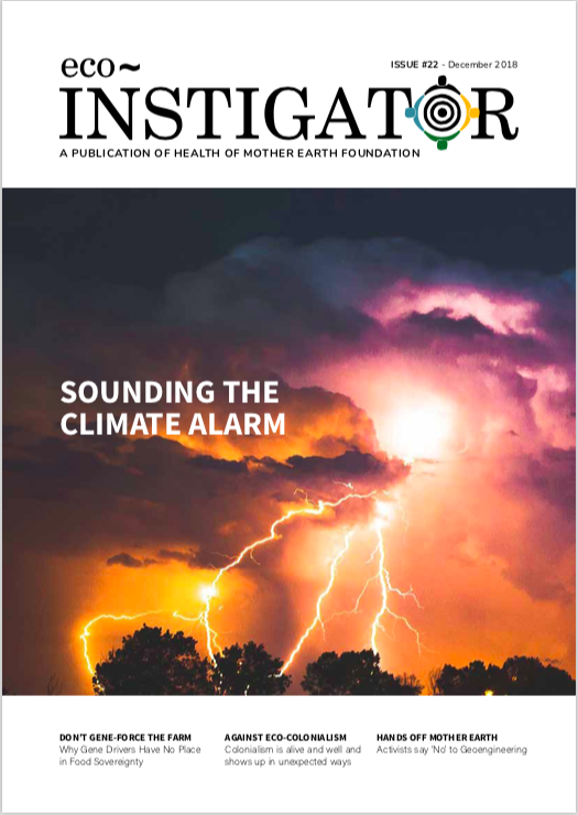Eco-Instigator-22-cover