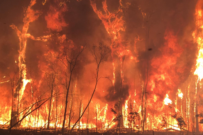 fires2