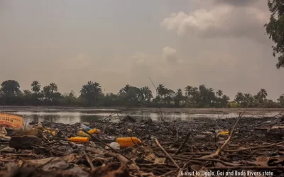 Halting Ecocide in the Niger Delta