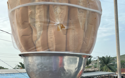 Junk Foods and the Politics of Hunger