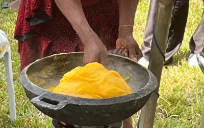 Defensive GMO regulators